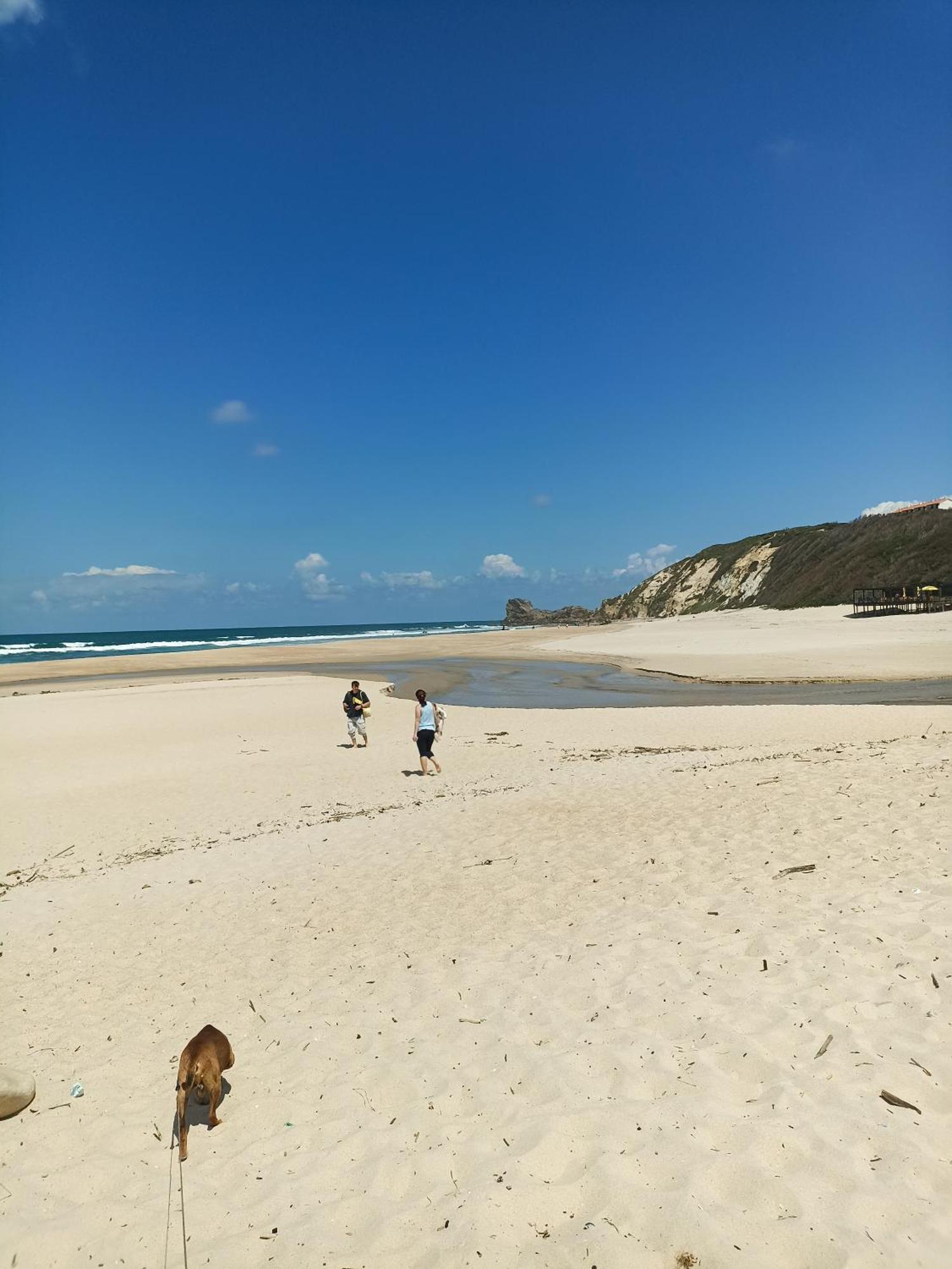 פטיאס Tinyhouse Tilda - Near Famous Beaches מראה חיצוני תמונה